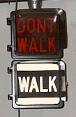 Aluminum Eagle Signal 9 inch Pedestrian Signal with WALK letters in painted stripe 